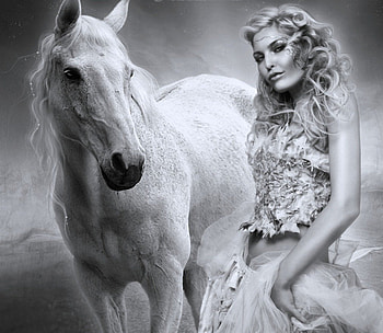 She and white horse, horse, color, wallpper, new HD wallpaper