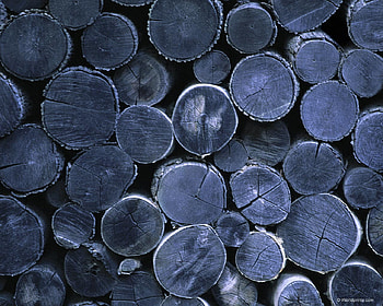 Wood, 3d HD wallpaper