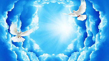 Dove Background. Peaceful Dove , Dove and Dove Background, Funeral Clouds HD wallpaper