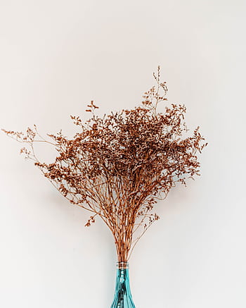 A minimalist dried floral arrangement displayed in a vibrant blue vase against a light background. HD phone wallpaper