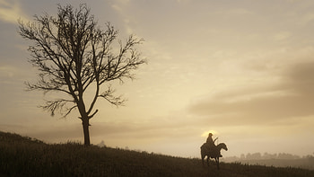 2018 Red Dead Redemption 2 PS4 , red-dead-redemption-2, 2018-games, games, ps-games HD wallpaper