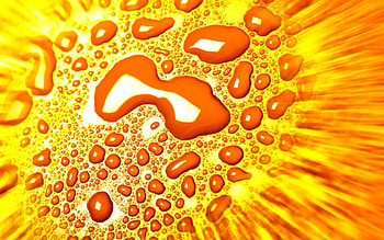 Drops, Macro, Liquid, Surface HD wallpaper