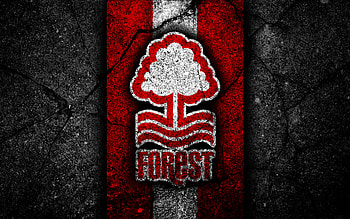 Nottingham Forest F C, Sports, Emblem, Logo, Soccer HD wallpaper