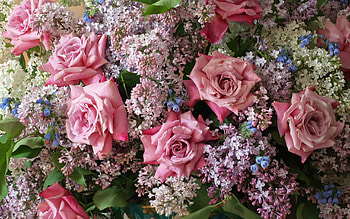 Roses and lilacs, bouquet, andrei morozov, flower, rose, pink, lilac HD wallpaper