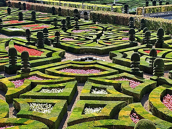 Maze, bushes, garden, rows, green HD wallpaper