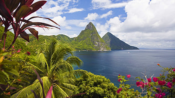 Nature, Palms, Ocean, Peaks, Spades, Caribs, Caribbean HD wallpaper