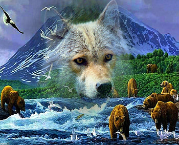 beauty of nature, river, bears, nature, wolve HD wallpaper