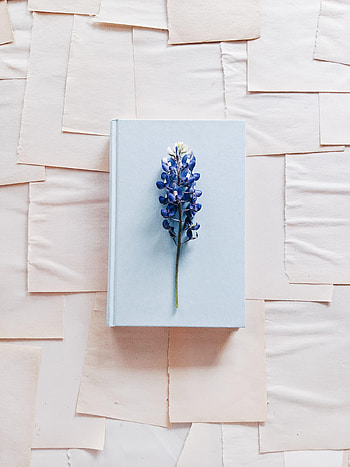 Flower, Miscellanea, Miscellaneous, Book, Paper, Lupine HD phone wallpaper