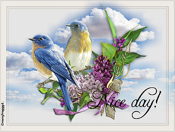 NICE DAY, DAY, NICE, COMMENT, CARD HD wallpaper