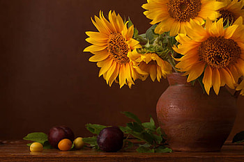 Bouquet of Sunflowers, Still life, Sunflowers, Bouquet, Cherry HD wallpaper