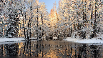 The river in winter wood, winter, forests, rivers, snow HD wallpaper