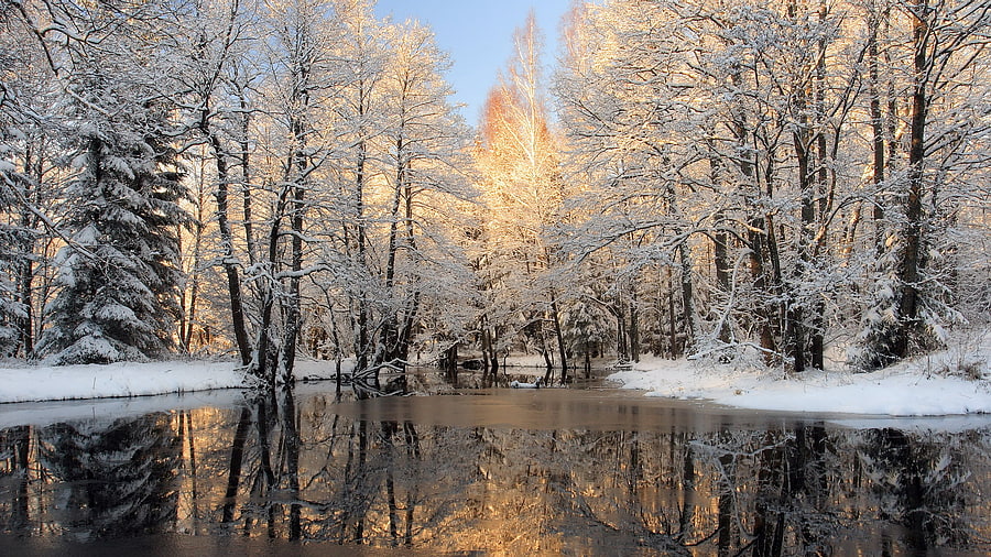 The river in winter wood, winter, forests, rivers, snow HD wallpaper