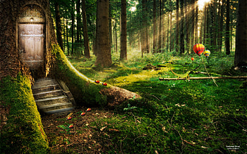 enchanted forest | Tree With a Door Enchanted Forest - HD wallpaper