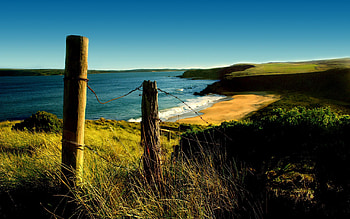 Nature, Shore, Bank, Shrubs, Fencing, Enclosure, Day, Wire, Log, Stakes, Pegging HD wallpaper