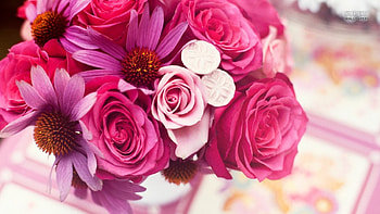 Lovely Roses, pink, bouquet, flowers, roses HD wallpaper