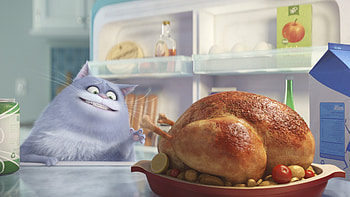 Cat Secrete Life Of Pets, the-secret-life-of-pets, movies, animated-movies, cartoons, 2016-movies HD wallpaper