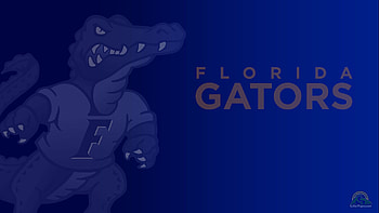Florida gator screensaver HD wallpaper
