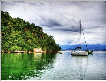 waiting the rain, waiting, rain HD wallpaper