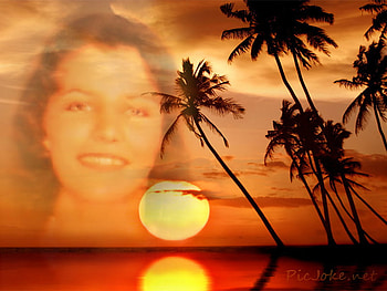 Marleen, Dagboek van mijn Apenjaren - www.lulu.com - Tropical sunset, apenjaren, marleen, verhaal, , jeugdliefde, aalst, lulu com, dagboek HD wallpaper