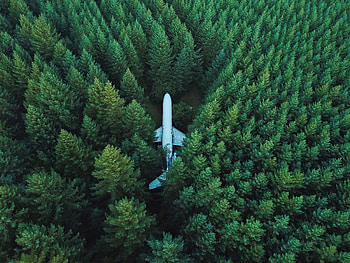 Trees, View From Above, Miscellanea, Miscellaneous, Plane, Airplane HD wallpaper