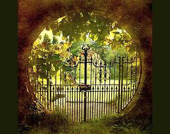 The Gate, wrought iron, sunlight, green, gate, trees, garden, flowers, walkway HD wallpaper