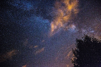 Universe, Stars, Night, Wood, Tree, Starry Sky HD wallpaper