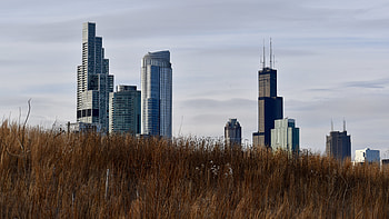 Cities, Grass, Architecture, Building, Skyscrapers, Tower, Towers HD wallpaper