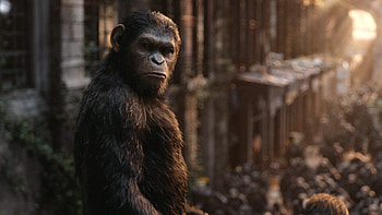 Planet of the Apes, War film, Top , Backgrounds HD wallpaper