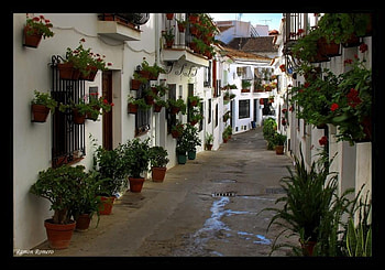 Flower Pot Alley - Italy, art , white, balconys, beautiful, houses, red, alley, flowers, pots HD wallpaper