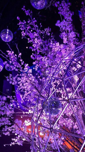 Purple Aesthetic, Purple HD phone wallpaper
