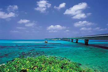 Okinawa film office, Fusion international film, Festivals showcase, Cinematic talent HD wallpaper