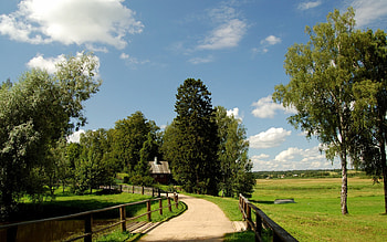 Landscape, Trees, Fields HD wallpaper