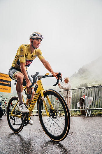 Mathieu Van Der Poel, vdp, mvdp HD phone wallpaper