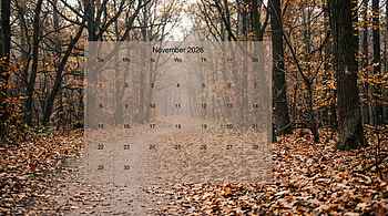 Autumn Trail — November 2026 Calendar, November 2026 Calendar HD wallpaper