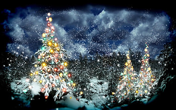 Happy Holidays, Holidays, Christmas, lights, Trees HD wallpaper