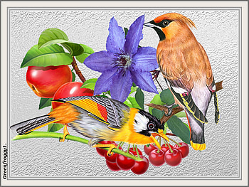 BIRDS AND BRANCHES, ART, CREATION, , ABSTRACT HD wallpaper