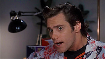 Ace Ventura: Pet Detective, , background , Hilarity ensues HD wallpaper