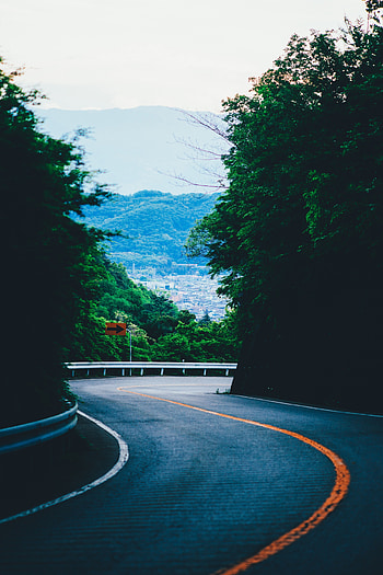 Turn, road, mountains, highway, tree HD phone wallpaper