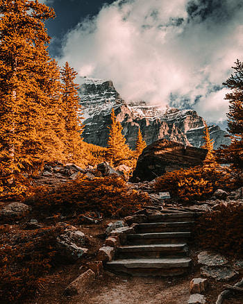 Landscape, Nature, Trees, Mountains, Rocks, Vertex, Tops HD phone wallpaper