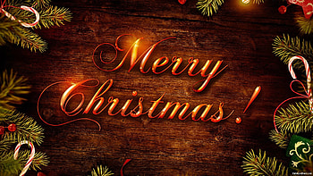 Merry Christmas Wishes funny pics HD wallpaper