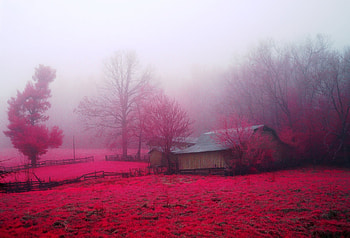 Red Autumn Farm, Fog, Fields, Barns, Fall, Farms, Nature, Autumn HD wallpaper