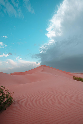 Nature, Sand, Desert, Bush, Hill, Dunes HD phone wallpaper