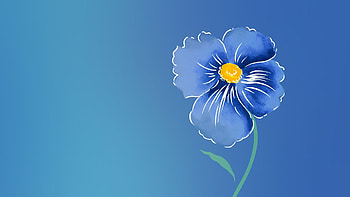 Blue, abstract, wp, flower HD wallpaper