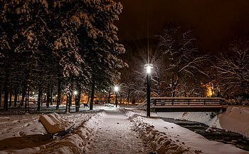 Zima, Latarnie, Park, Noc HD wallpaper