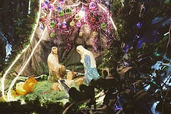 A festive nativity scene with colorful Christmas decorations and lights. HD wallpaper