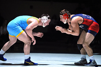 Wrestling collection, Top wrestlers showcased, High-quality visuals, Sports passion HD wallpaper