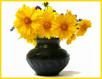 Bring in the sunshine, sunny, yellow, bright, flowers, black vase, daisies HD wallpaper