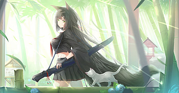 Anime Girl, Fox Girl, Katana, Neko HD wallpaper