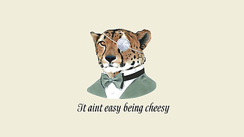 Damn, it feels good to be a gangster. HD wallpaper
