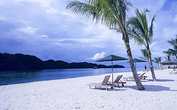 on vocation, trees, sand, water, beach chairs HD wallpaper
